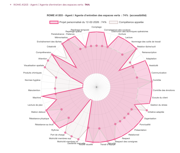 logiciel myskilliz évaluations graphique compétences